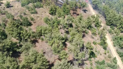 Kahramanmaraş’ta meydana gelen orman yangını itfaiye ekiplerinin ivedi müdahalesi sonucu