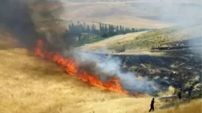 Kahramanmaraş’ın Elbistan ilçesinde gerçekleştirilen hasat çalışması esnasında çıkan yangında, yaklaşık