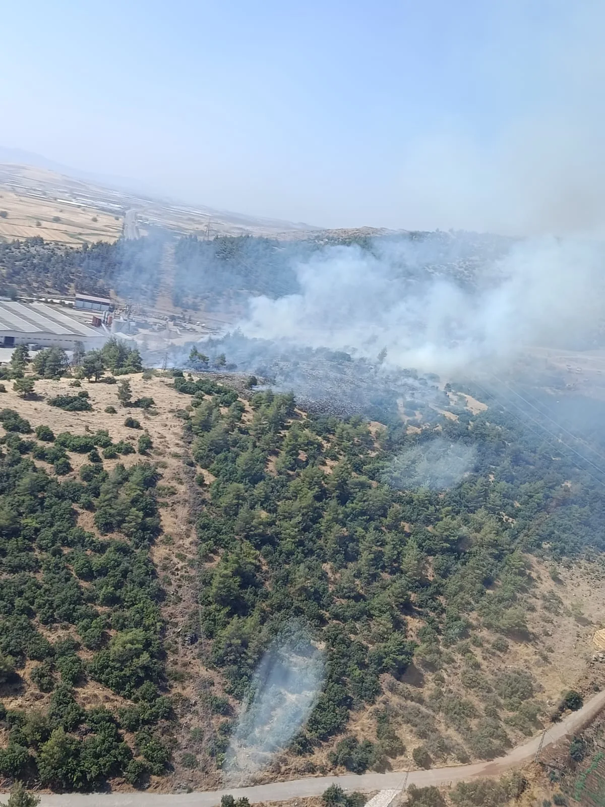 Kahramanmaraş’ta Orman Yangını!