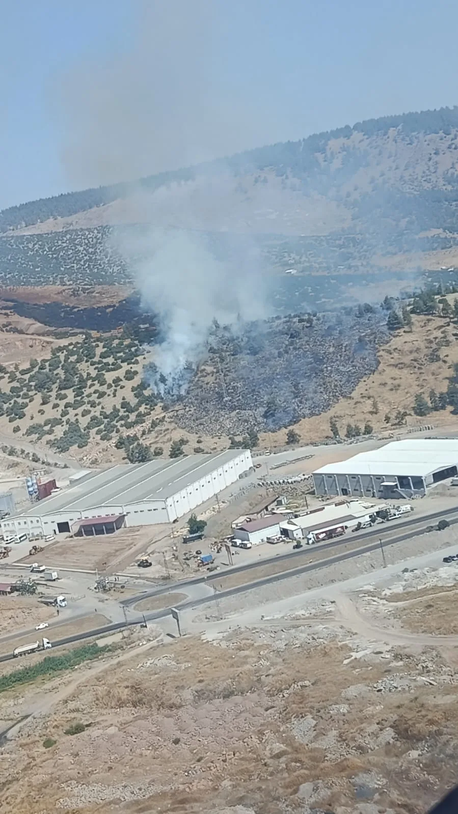 Kahramanmaraş’ta Orman Yangını!