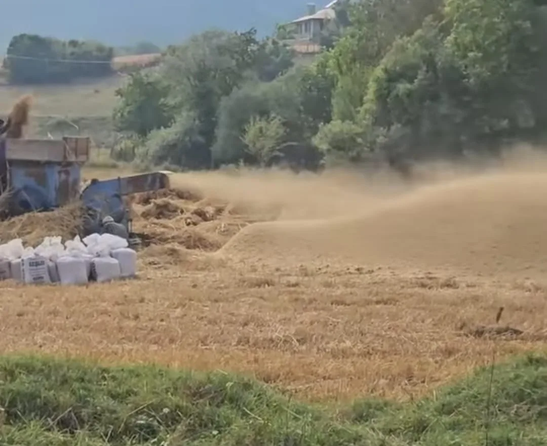Andırın Yaylalarında Nostaljik Hasat...