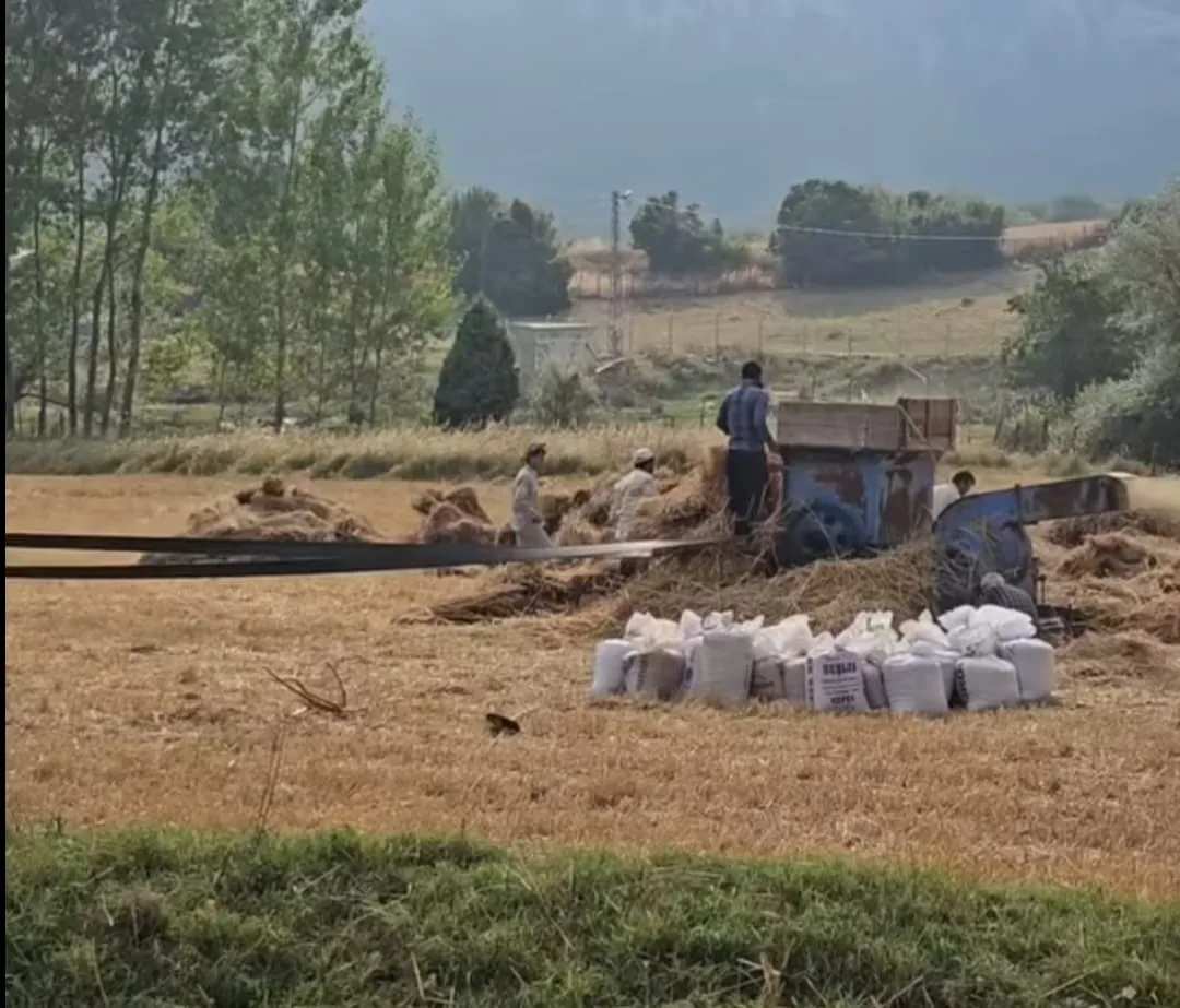 Andırın Yaylalarında Nostaljik Hasat... Andırın Yaylalarında Nostaljik Hasat...
