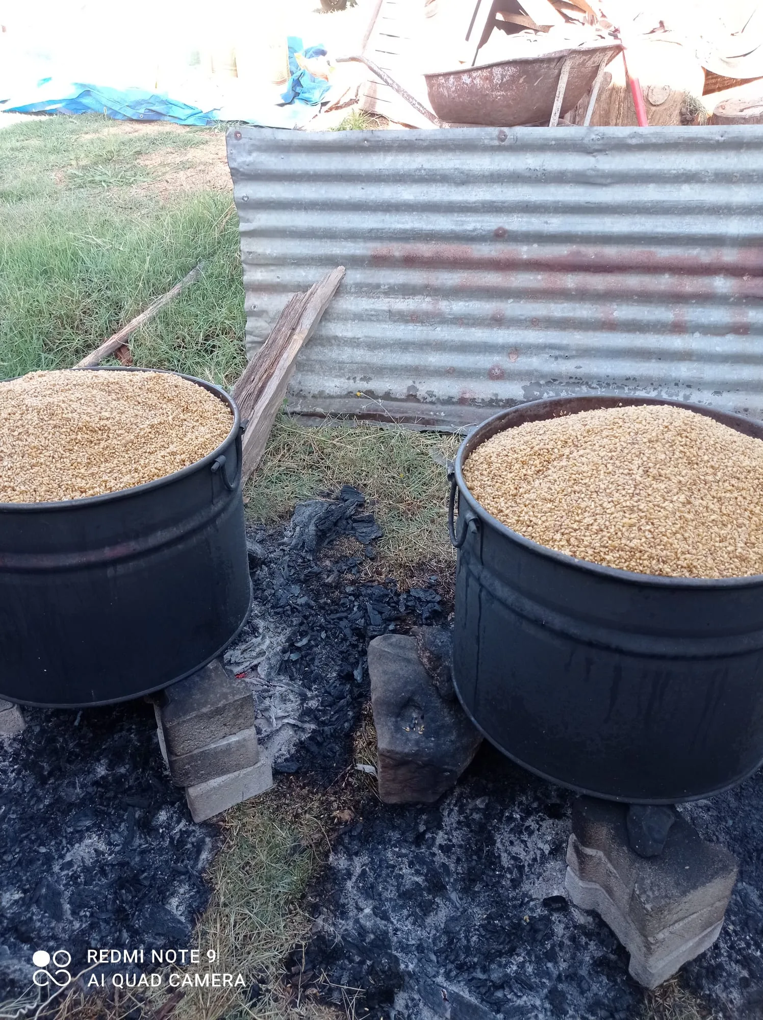 Andırın'da Hasat Bitti, Kazanlar Kaynamaya Başladı: Akifiye'de Bulgur Telaşı!