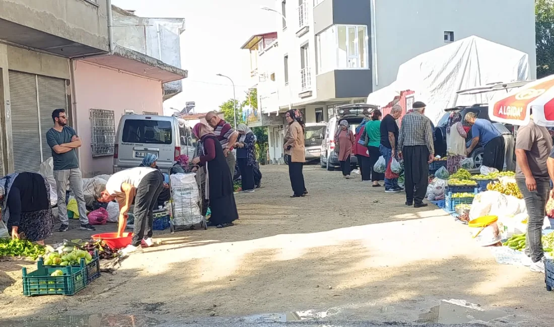 Andırın’da her hafta çarşamba günü kurulan pazarda, yaz mevsiminin son