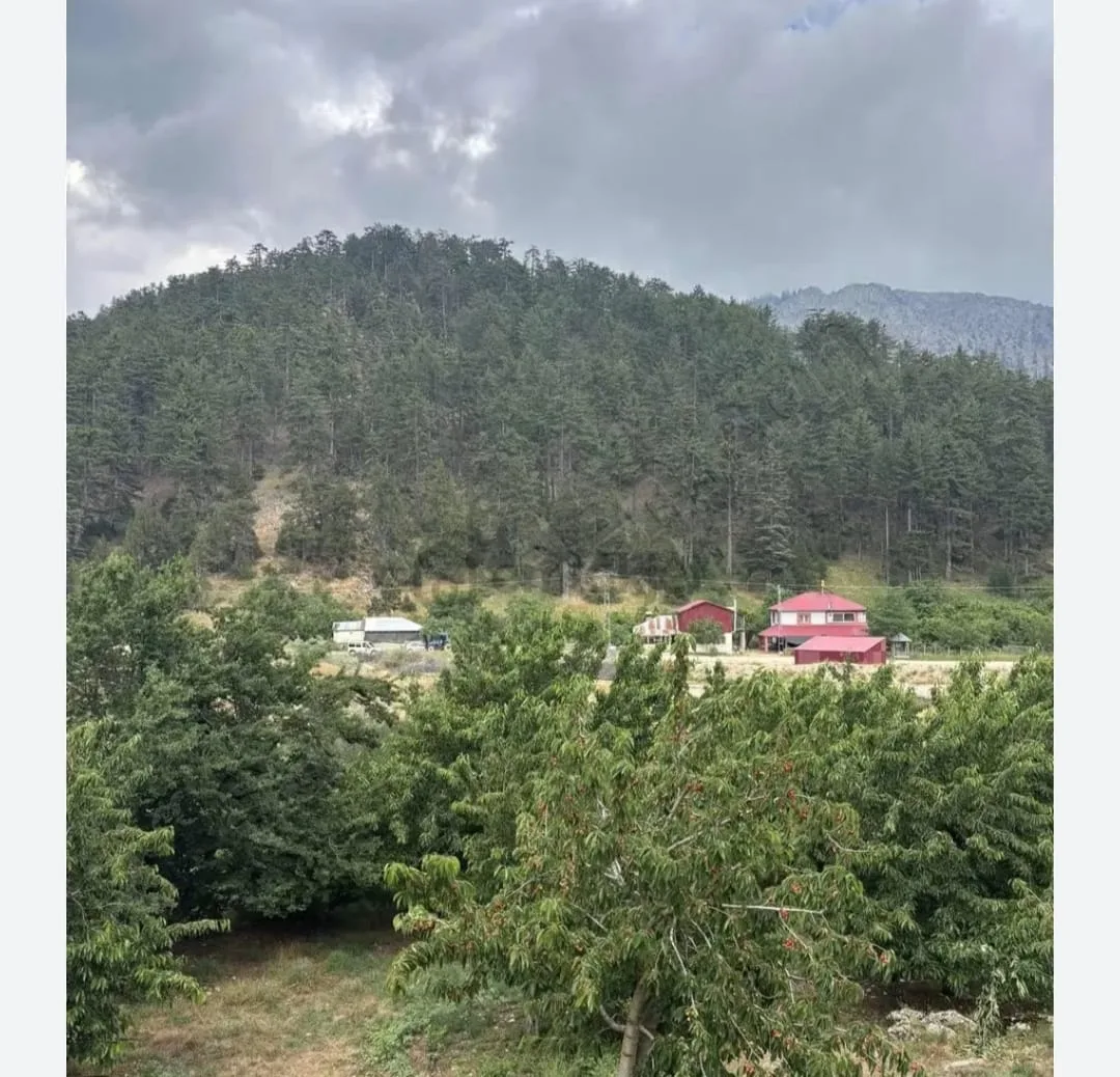 Andırın’da Arazi kavgası Can Aldı!