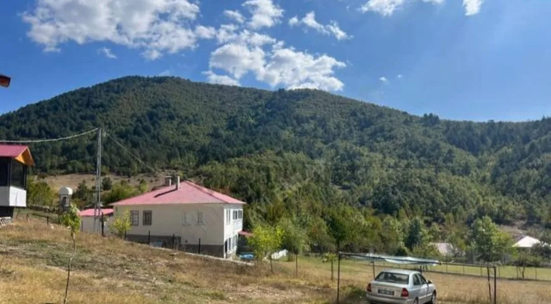 Andırın’da Arazi kavgası Can Aldı!