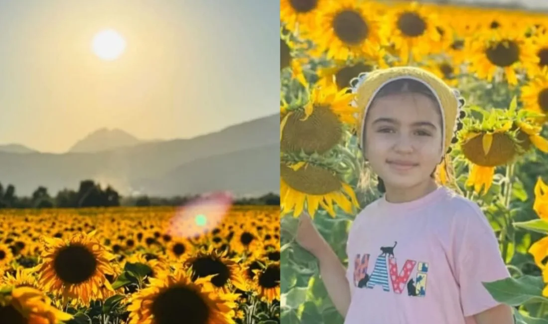 Kahramanmaraş’ın doğa harikası ilçesi Andırın, bu günlerde sapsarı ayçiçeği tarlalarıyla