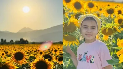 Kahramanmaraş’ın doğa harikası ilçesi Andırın, bu günlerde sapsarı ayçiçeği tarlalarıyla