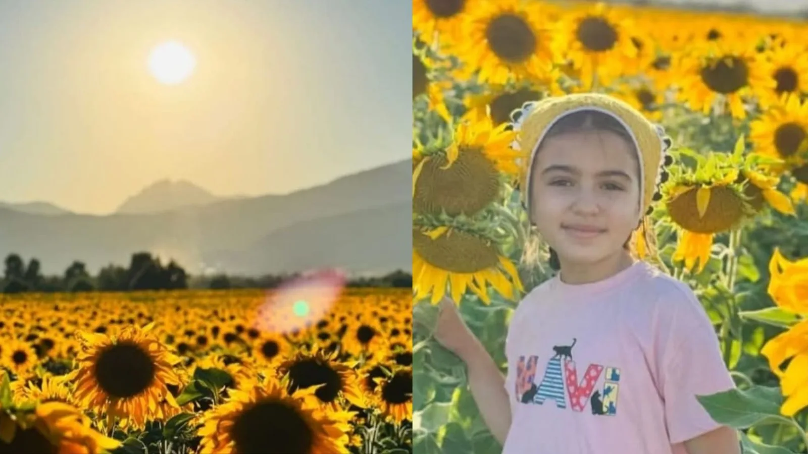 Kahramanmaraş’ın doğa harikası ilçesi Andırın, bu günlerde sapsarı ayçiçeği tarlalarıyla