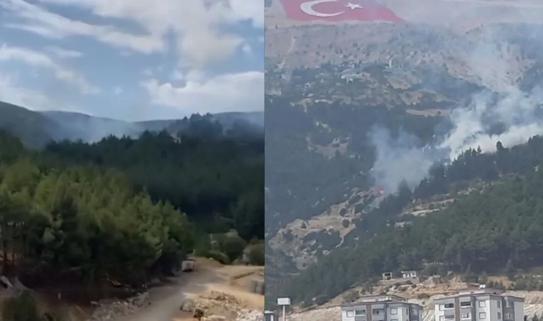 Kahramanmaraş’ta Tömek Bölgesi’nde orman yangını meydana geldi. Ekipler yangını kontrol