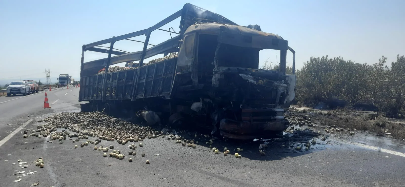 Otoyolda Dehşet Son: TIR'ını Tamir Ederken…