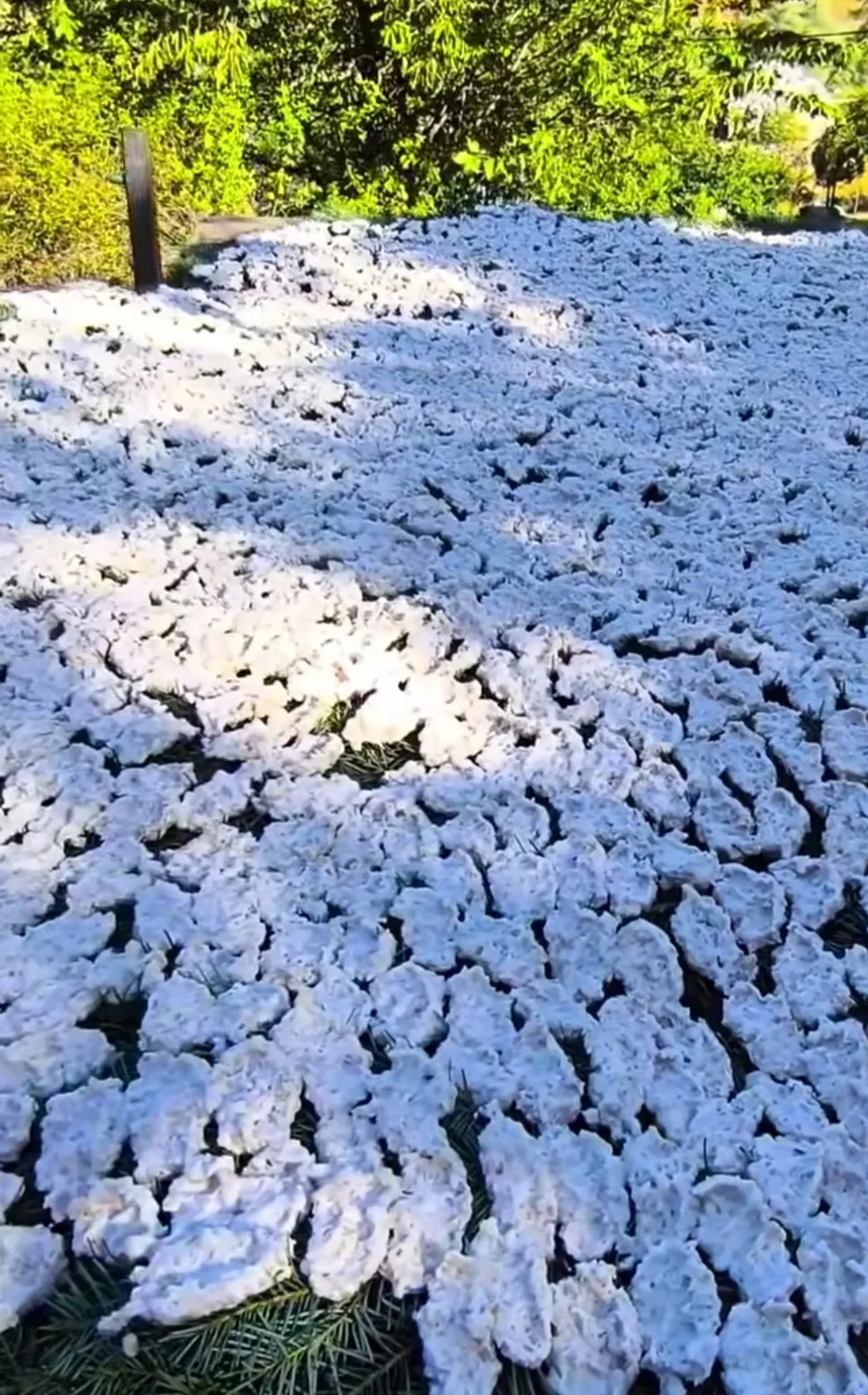 Andırın çığşar’da geleneksel tarhana mesaisi