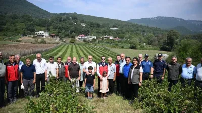 Kahramanmaraş'ın Andırın ilçesine bağlı Darıovası Mahallesi'nde, yüksek antioksidan değeri ve