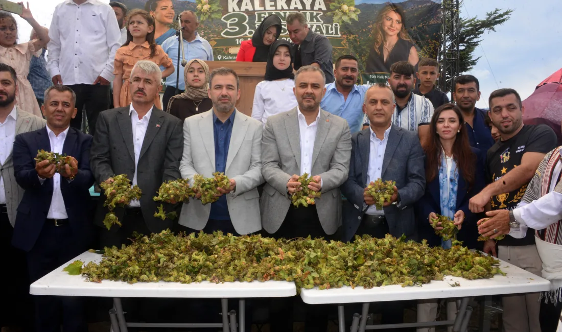 Kahramanmaraş’ın Onikişubat ilçesinde düzenlenen fındık festivalinde, bölgede yılda ortalama 200