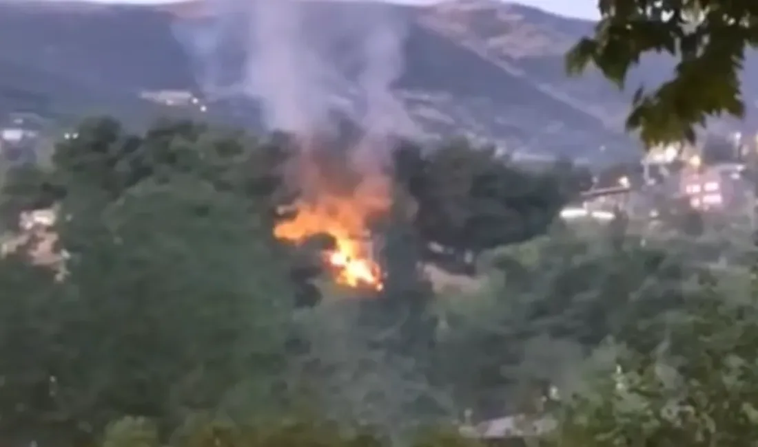 Kahramanmaraş’ın Dulkadiroğlu ilçesine bağlı Pınarbaşı Mahallesi’ndeki ormanlık alanda çıkan yangın,