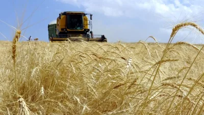 Tarım ve Orman Bakanlığı tarafından üreticilere yönelik 195,6 milyon liralık