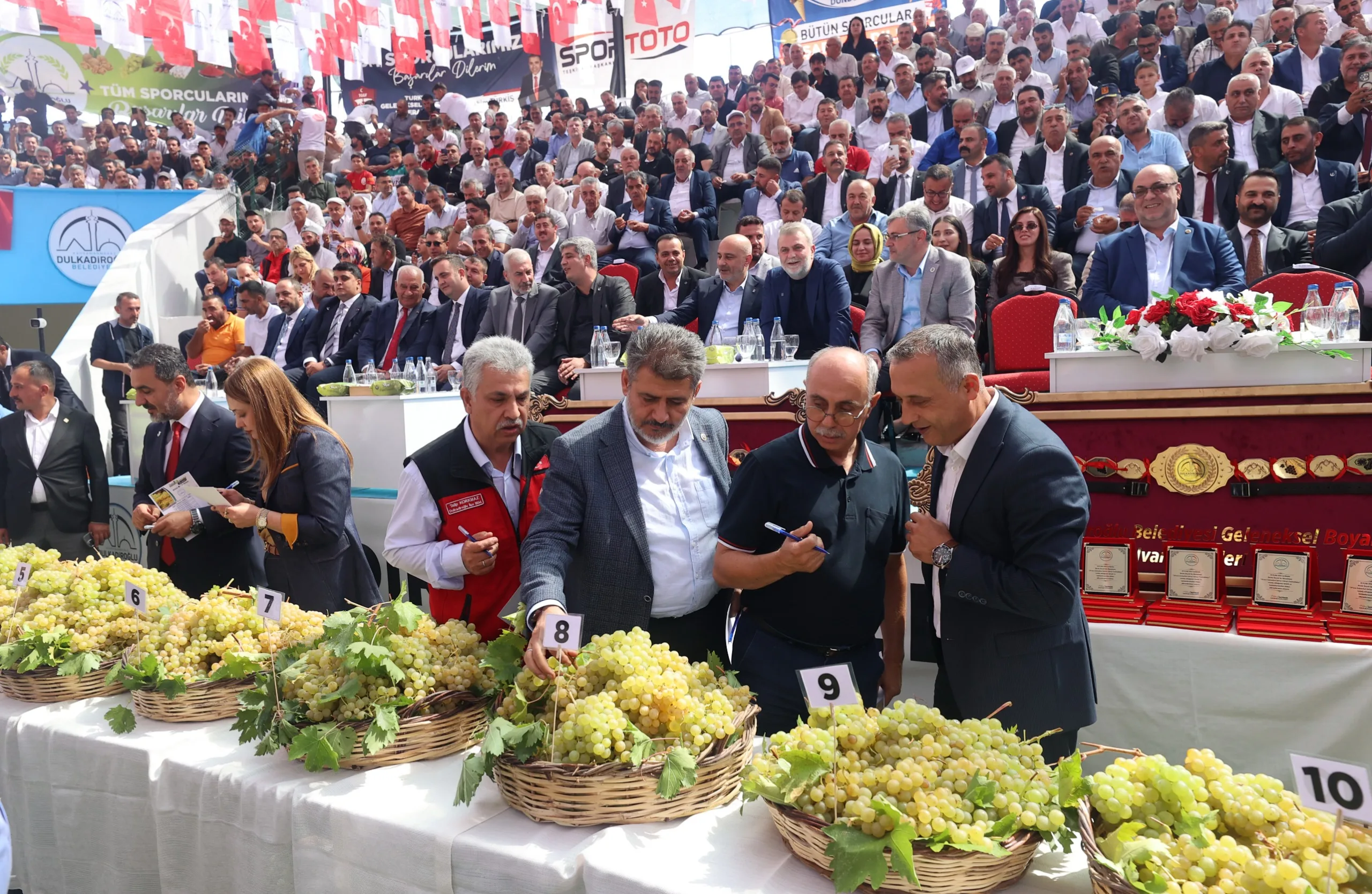 30. Bertiz şalvar güreşleri’nde başpehlivanlar belli oldu!