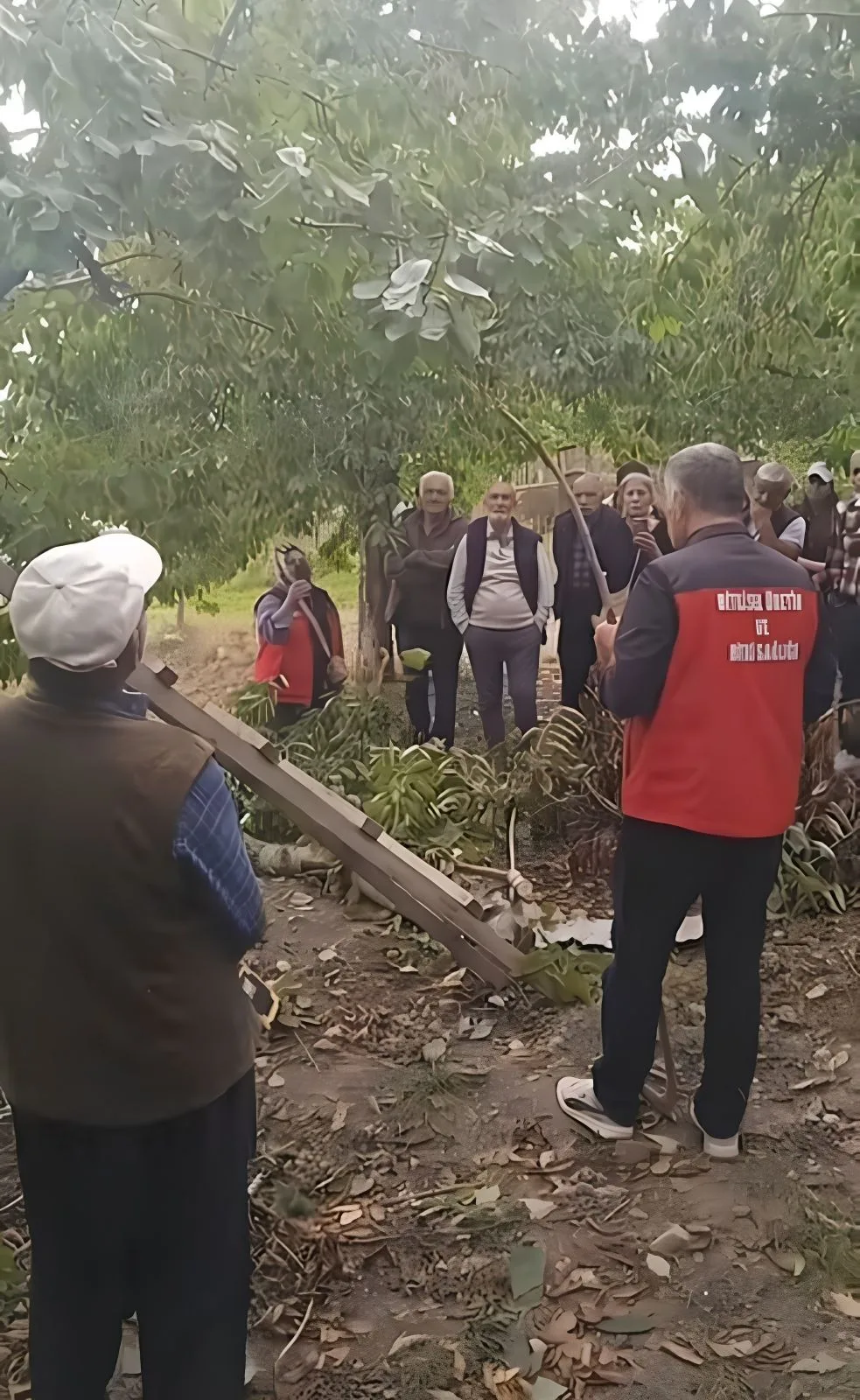 Andırın kirazında kalite seferberliği!