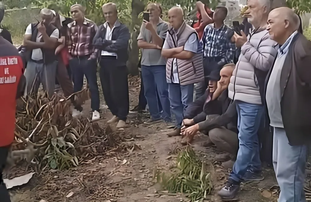 Kahramanmaraş İl ve Andırın İlçe Tarım ve Orman Müdürlüğü, dünyaca