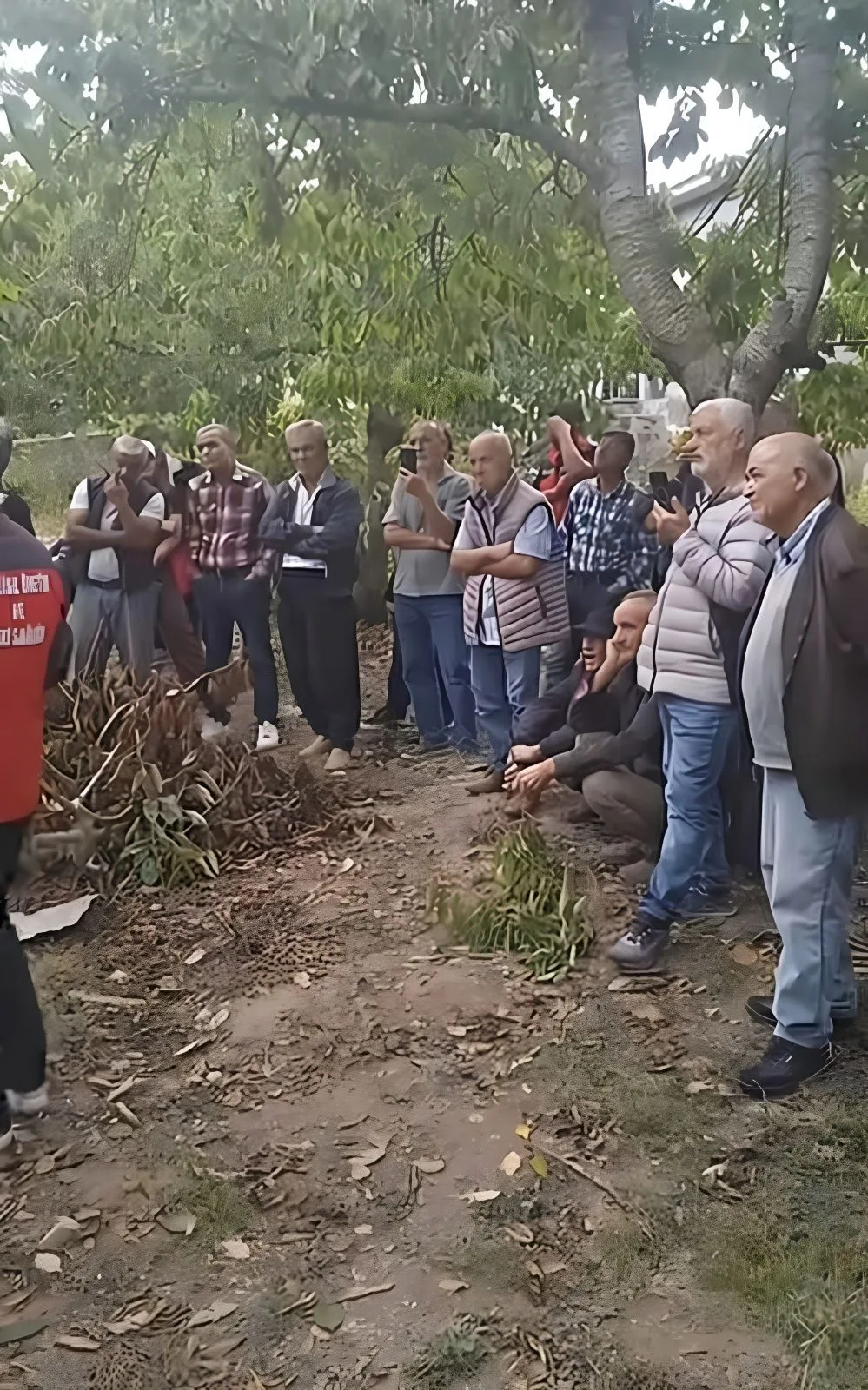 Andırın Kirazında Kalite Seferberliği!