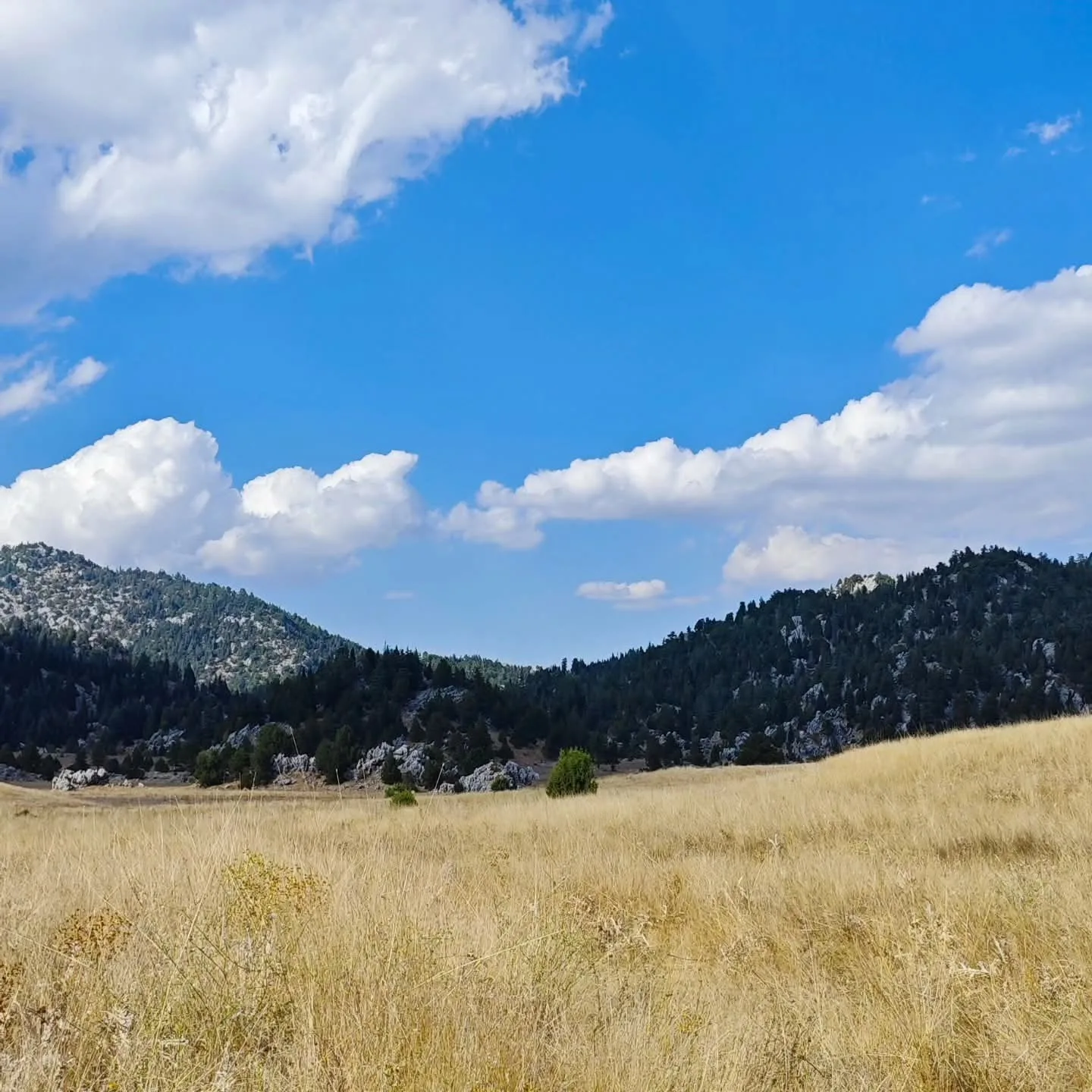 Kahramanmaraş’ın eşsiz doğasıyla tanınan Andırın ilçesi, gezgin doğa sever İlyas