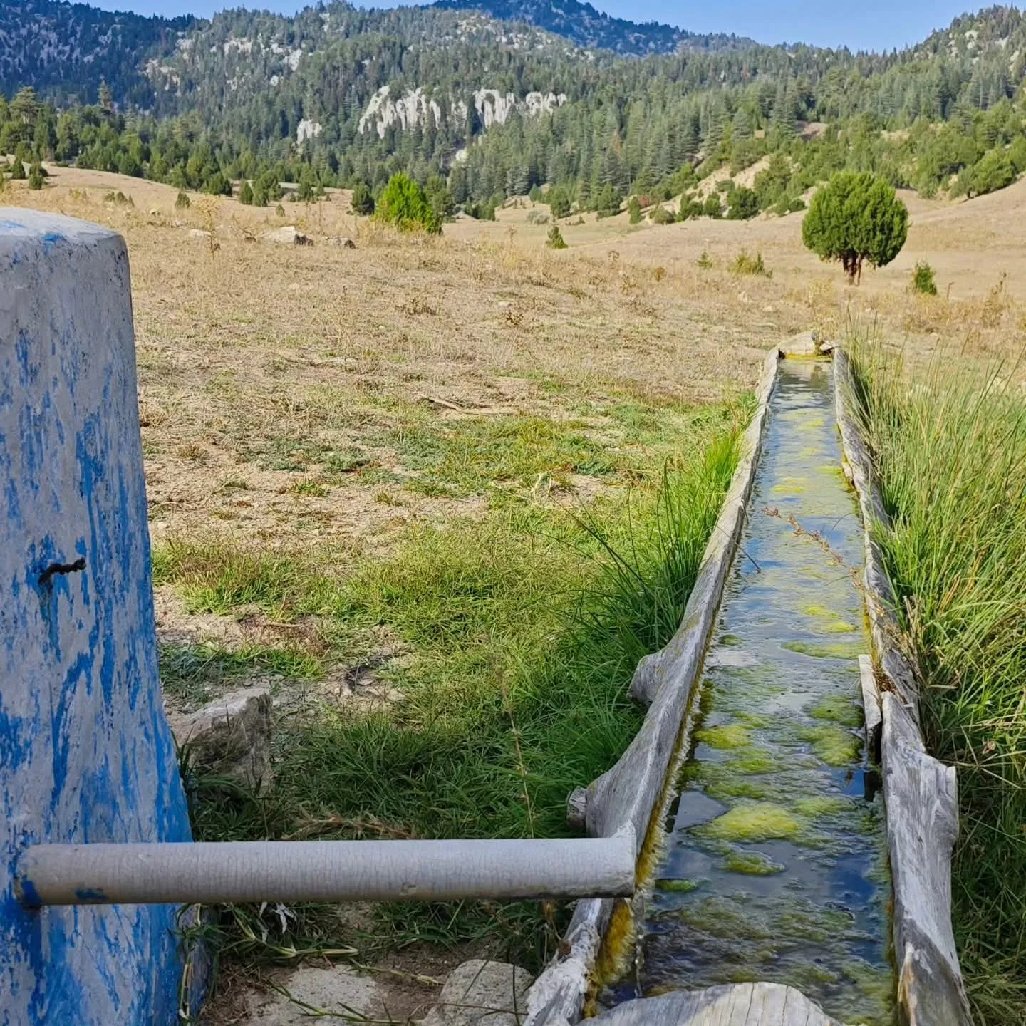 Andırın yaylalarından kartpostallık görüntüler!