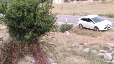 Kahramanmaraş’ın Andırın ilçesine bağlı Yeşilova bölgesinde yol kenarında bulunan sıra