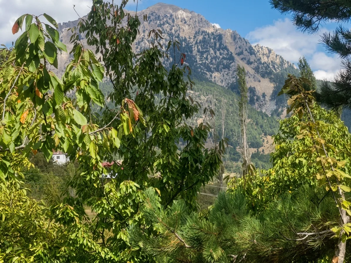 Andırın’ın göz bebeği çığşar’da sonbahar güzelliği