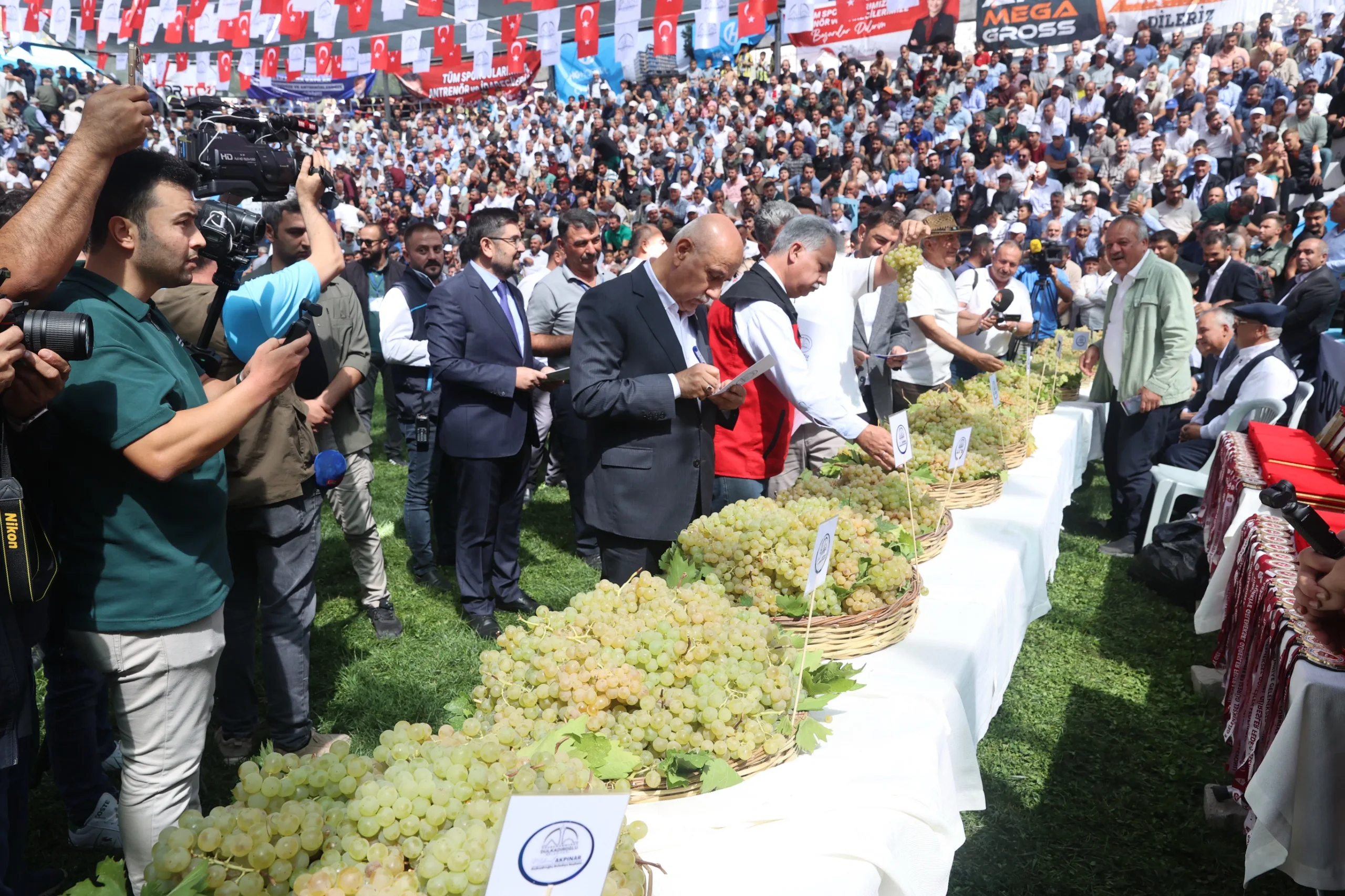 Bertiz'de er meydanı heyecanı ve üzüm festivali bir arada! Bertiz'de er meydanı heyecanı ve üzüm festivali bir arada!