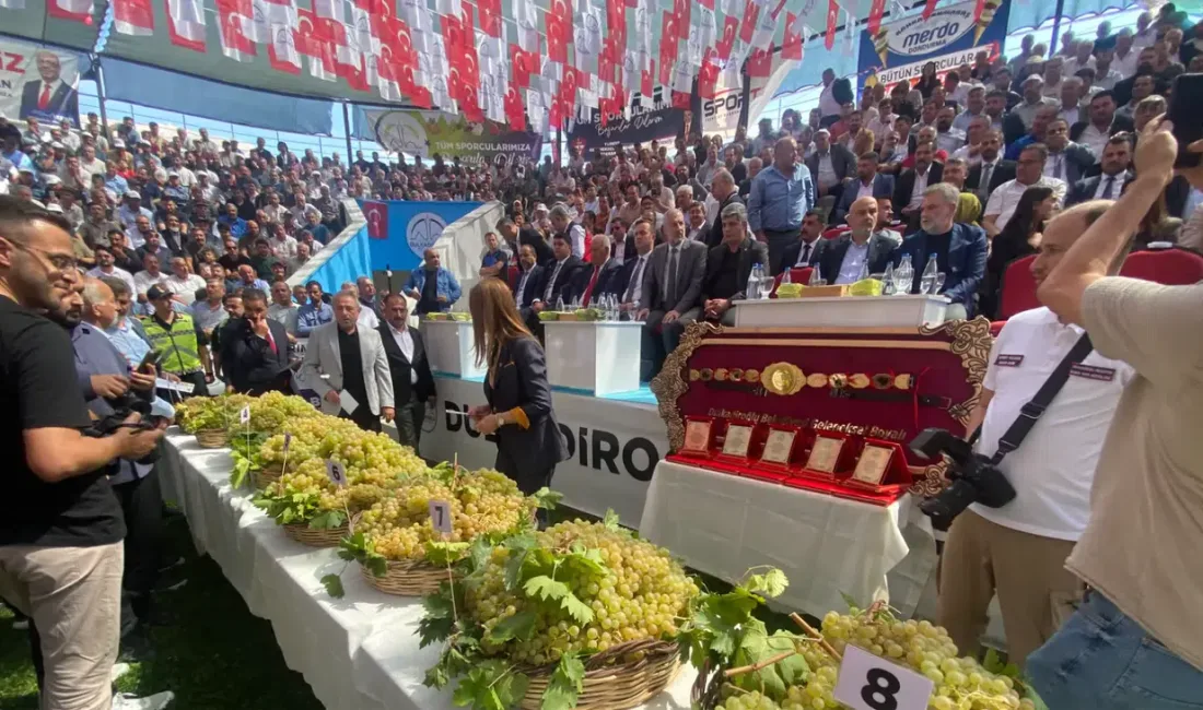 Dulkadiroğlu Belediyesi tarafından düzenlenen 30. Bertiz Boyalı Güreş Festivali kapsamında
