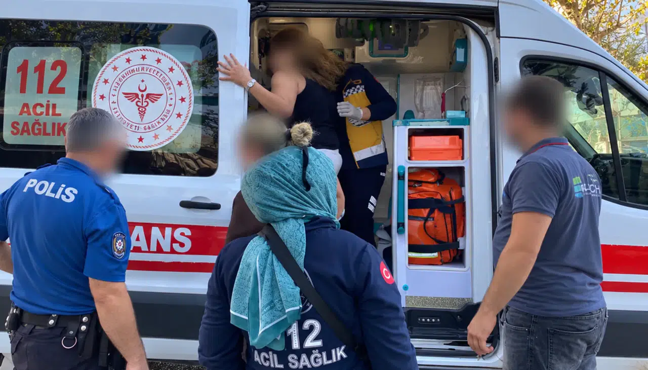 Kahramanmaraş’ın Dulkadiroğlu ilçesinde bir kediye yönelik müdahale yüzünden başlayan sözlü