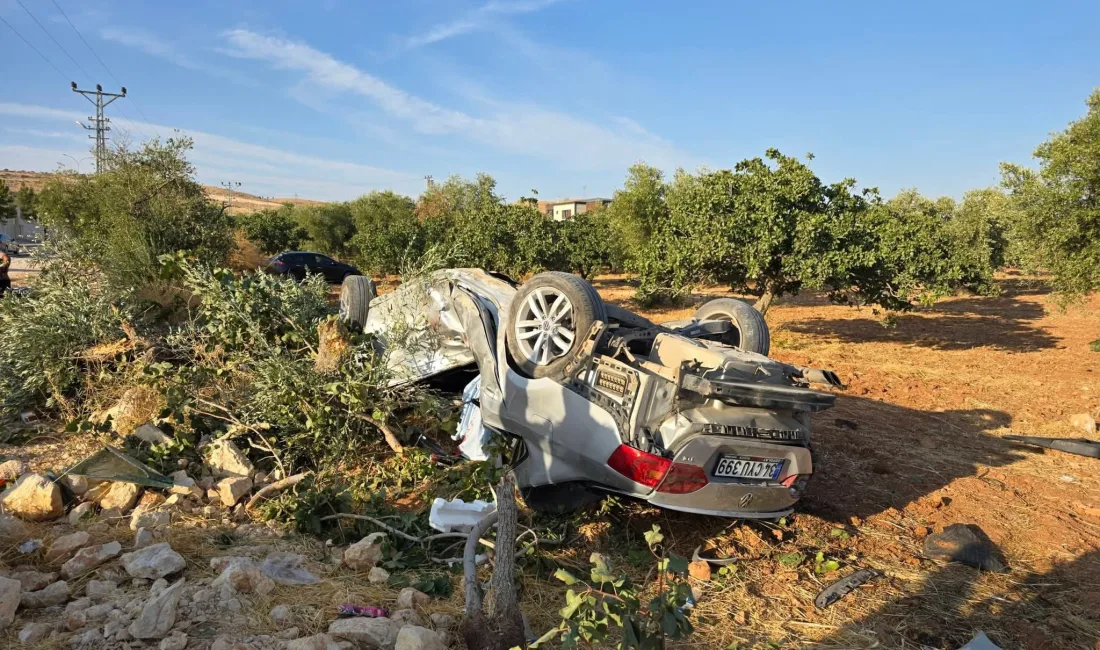 Önündeki motosiklete çarpmamak için sürücüsünün manevra yaptığı otomobilin fıstık bahçesine