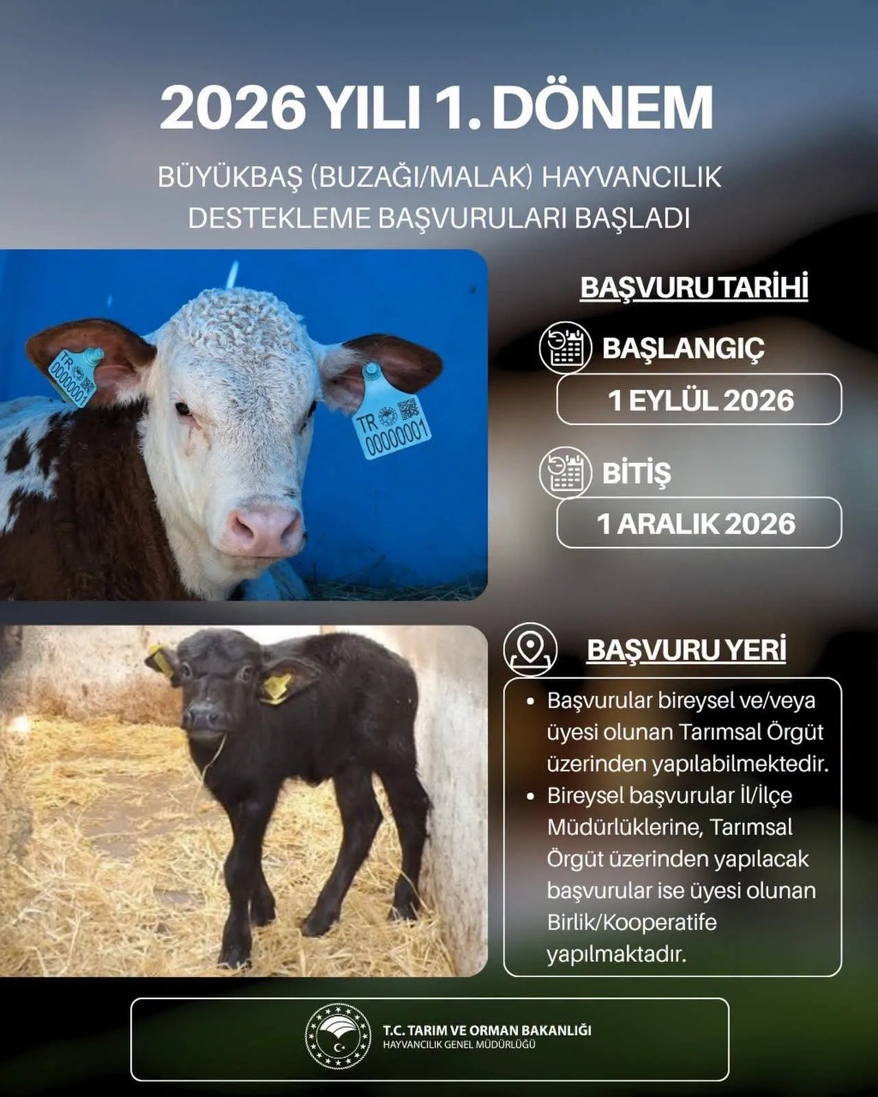 Tarım ve orman bakanlığından andırınlı üreticilere destek: başvuru takvimi belli oldu! Tarım ve orman bakanlığından andırınlı üreticilere destek: başvuru takvimi belli oldu!