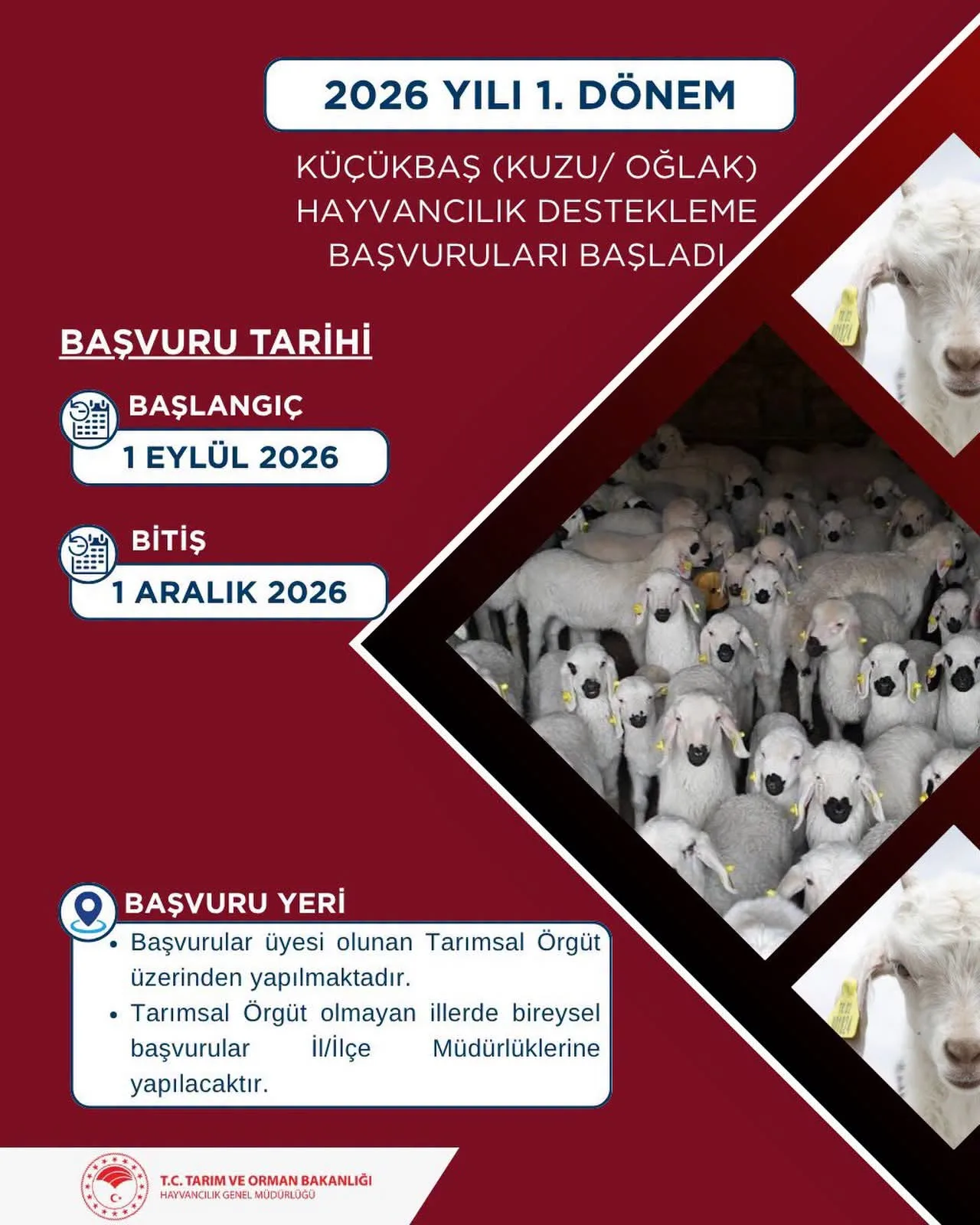 Andırınlı yetiştiricilere destek müjdesi!