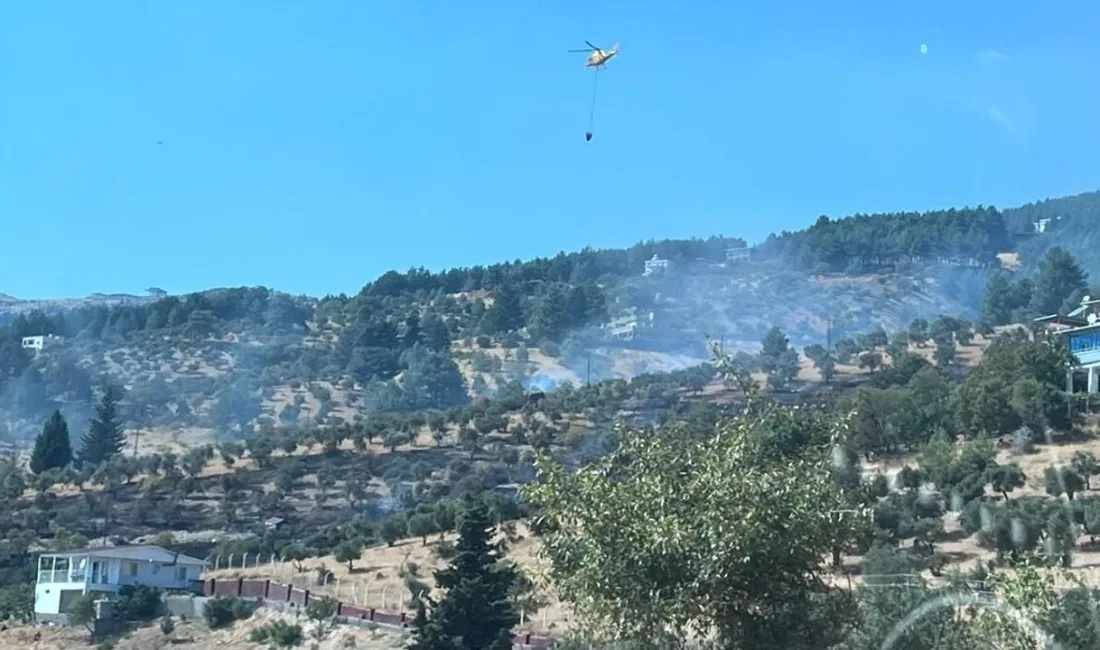 Kahramanmaraş’ın Dulkadiroğlu ilçesinde çıkan ziraat yangını, orman ve itfaiye ekiplerinin