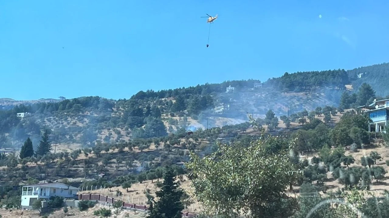 Kahramanmaraş’ın Dulkadiroğlu ilçesinde çıkan ziraat yangını, orman ve itfaiye ekiplerinin