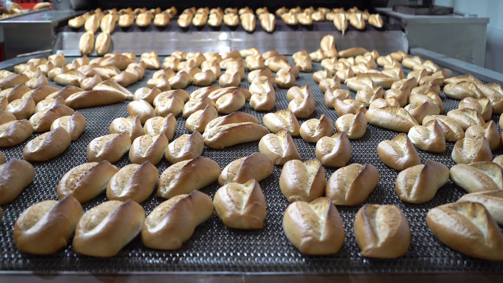 Büyükşehir Belediyesi, Halk Ekmek Fabrikası’nda günlük 75 binden fazla ekmek