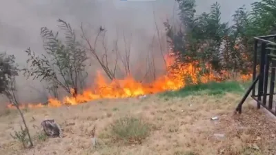 Kahramanmaraş’ın Onikişubat ilçesi Tekerek Mahallesi’nde ormanlık alanda çıkan yangına itfaiye