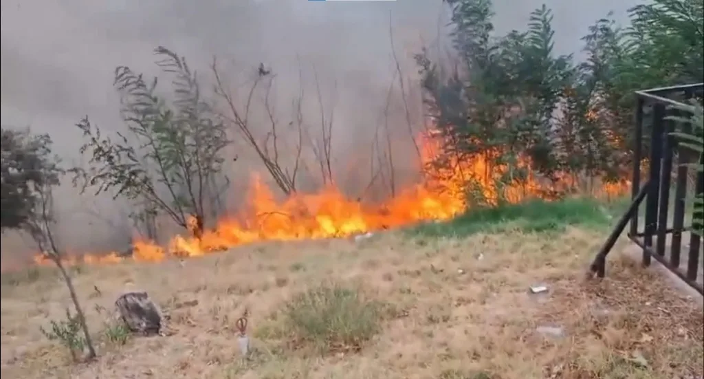 Kahramanmaraş’ın Onikişubat ilçesi Tekerek Mahallesi’nde ormanlık alanda çıkan yangına itfaiye
