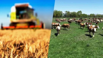 Tarım ve hayvancılık sektöründe üreticileri ilgilendiren yeni destek rakamları açıklandı.