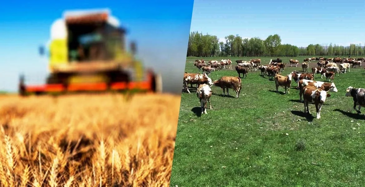 Tarım ve hayvancılık sektöründe üreticileri ilgilendiren yeni destek rakamları açıklandı.