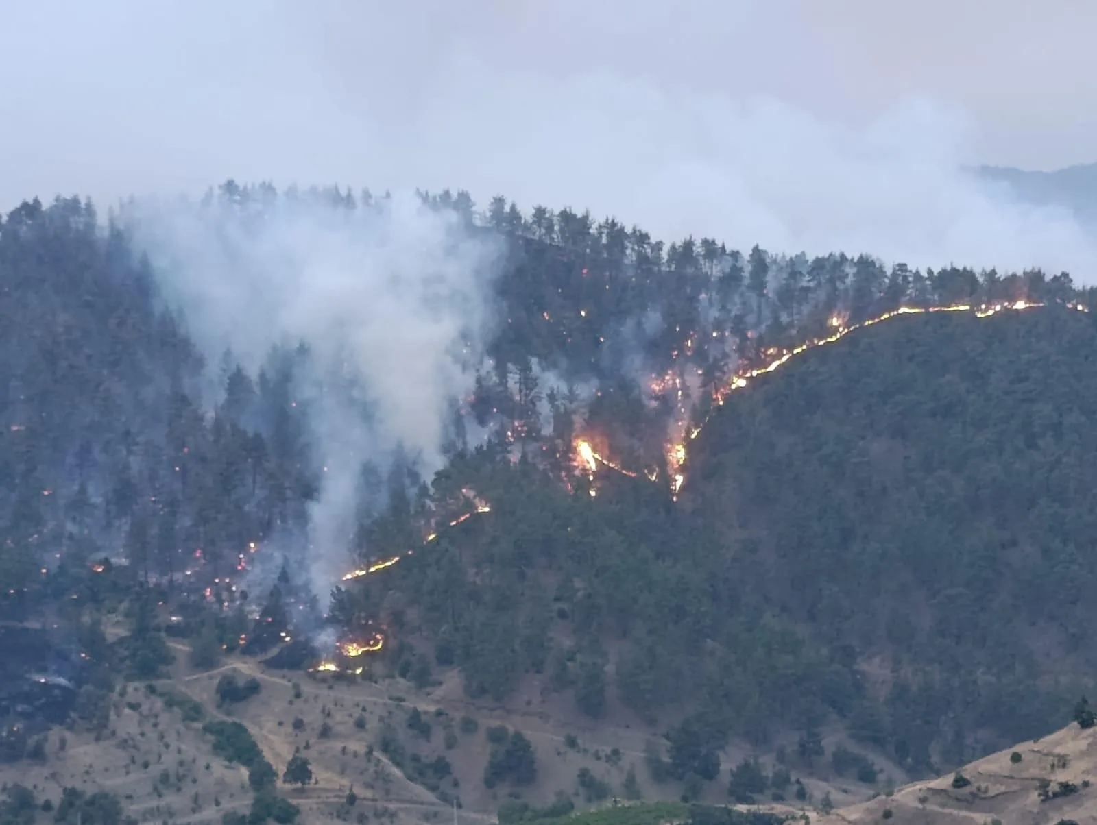 Kahramanmaraş’ta acı bilanço: zarar dudak uçuklattı!
