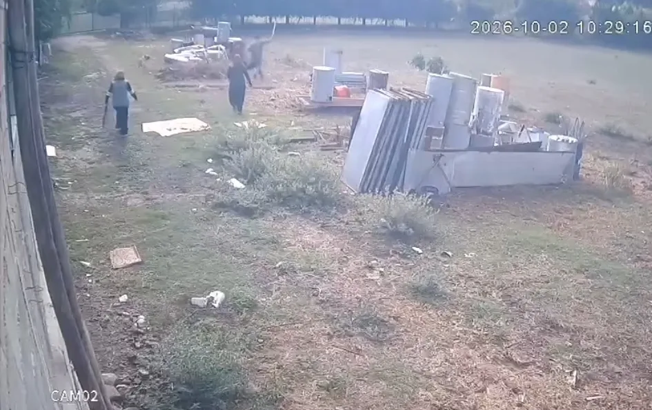 Andırın’da korku dolu anlar: "uysal" denilen köpek veterineri kovaladı!