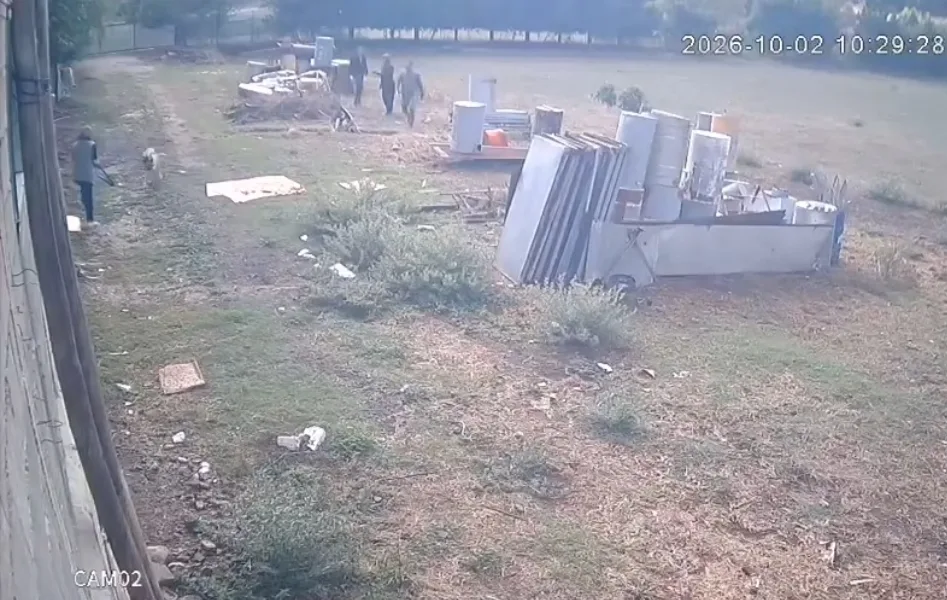 Andırın’da korku dolu anlar: "uysal" denilen köpek veterineri kovaladı!