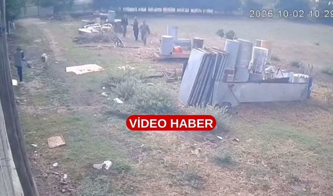 Andırın’da bir veteriner hekim tedavi için gittiği adreste “Çok uysal”