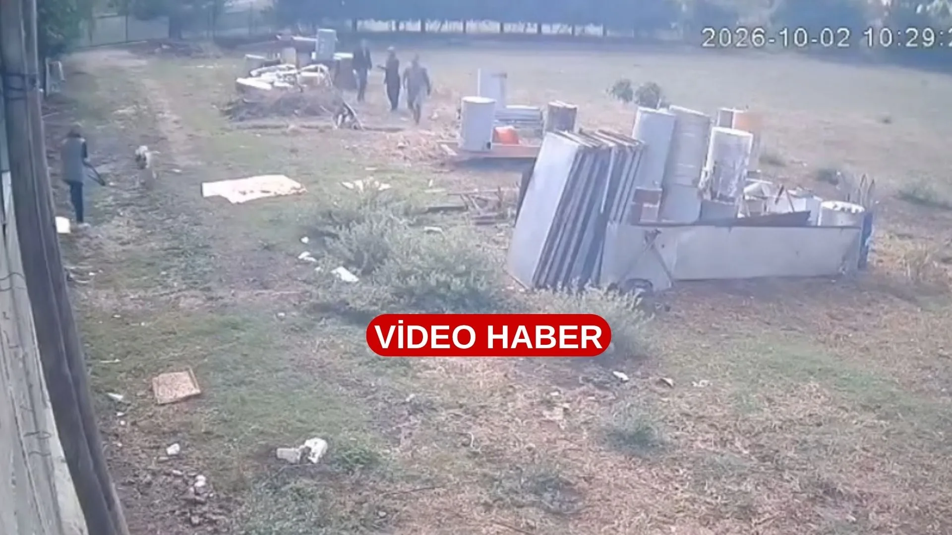 Andırın’da bir veteriner hekim tedavi için gittiği adreste “Çok uysal”