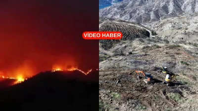 Kahramanmaraş’ta geçen yıl Temmuz ayında çıkan büyük yangının acı bilançosunu