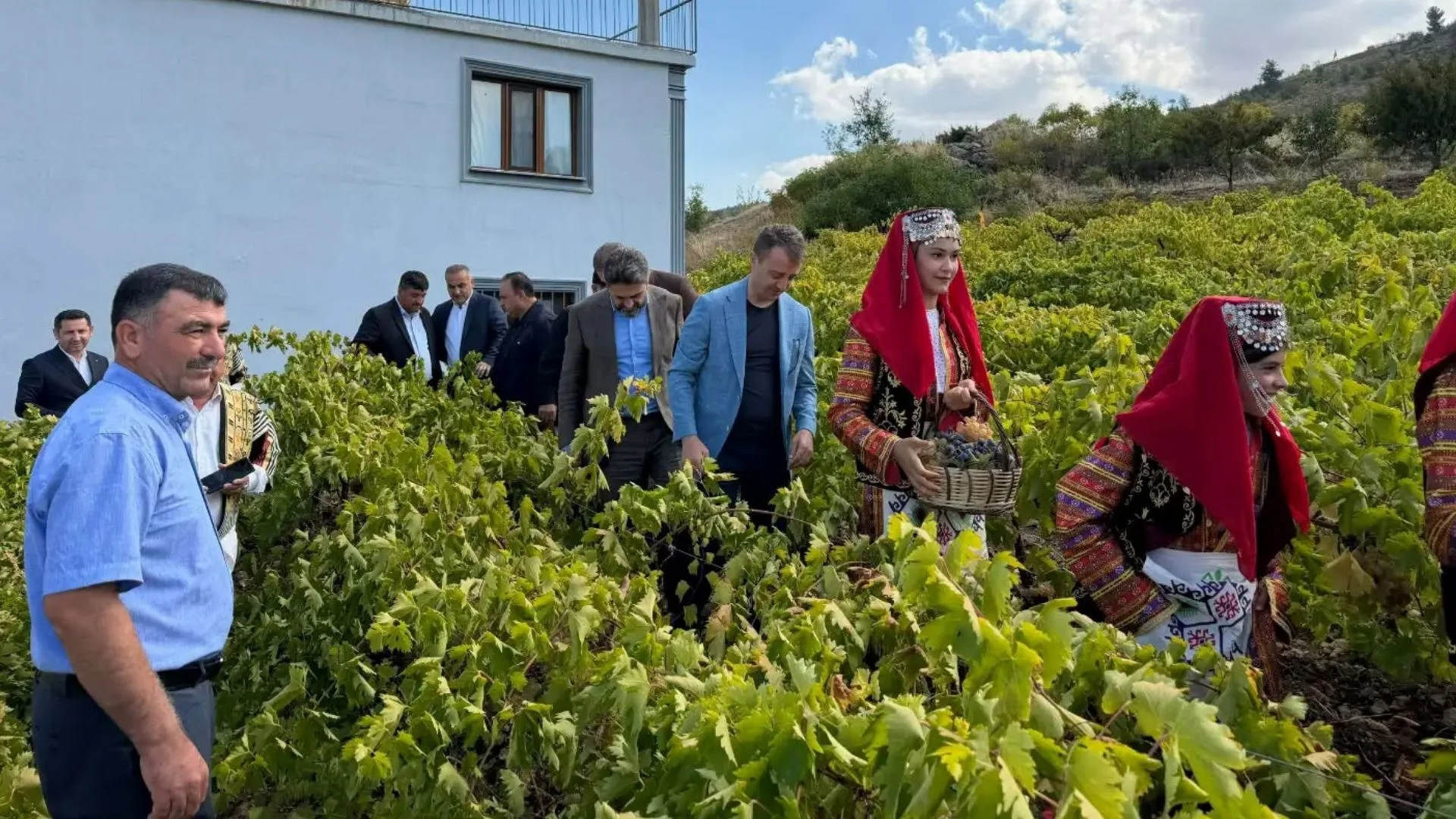 Bertiz’de üzüm şenliği!