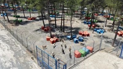Büyükşehir Belediyesi ve Sahipsiz Hayvanları Koruma Birliği iş birliğiyle yürütülen