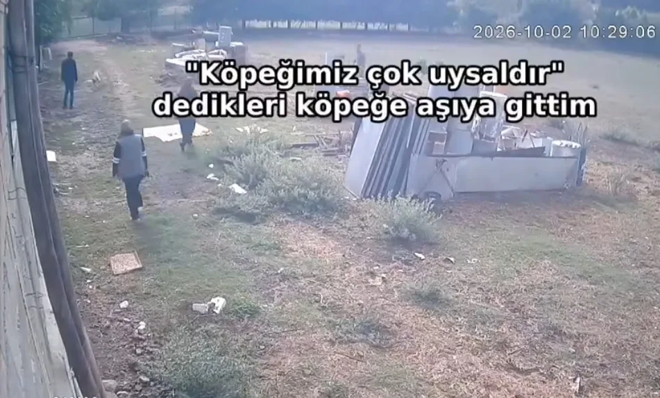 Andırın’da korku dolu anlar: "uysal" denilen köpek veterineri kovaladı!